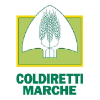 Coldiretti Marche, bolletta salata anche in campagna: “Serve piano per biometano agricolo.