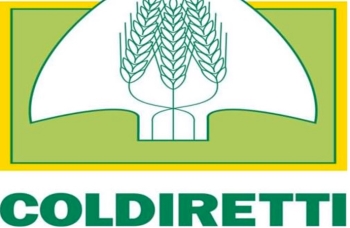 Coldiretti Marche, Distretto unico del biologico mossa vincente per lanciare il settore