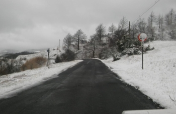Maltempo, interventi sulle strade provinciali per neve e piante cadute