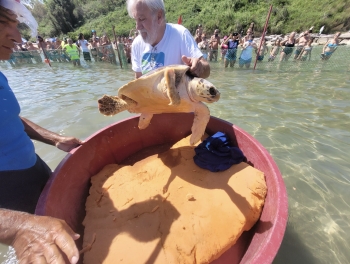 Tutti pazzi per “Paolo”, una folla di famiglie accoglie la prima tartaruga ospite della Baia nell’estate 2022