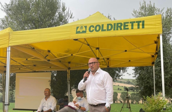 Coldiretti, sos campagne: la grandine distrugge vigneti e oliveti
