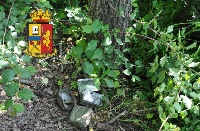 Urbino, la Polizia di Stato ha rinvenuto all’interno della cavità di un albero circa 75 grammi di hashish 